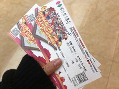 -刘老根大舞台-长春旗舰店