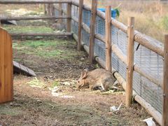 -上膳源有机农场