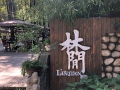 -林间山庄