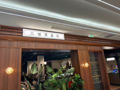 -三猫黑鱼花(南大店)