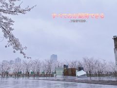 -龙美术馆(西岸馆)