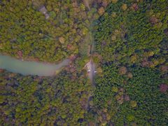景点-青龙山国家森林公园