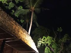 -Naughty Nuri’s Phuket