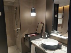 -新加坡瑞士史丹福酒店