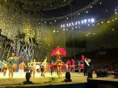 android_upload_pic-灵玲国际马戏城
