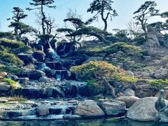 -罗红摄影艺术馆