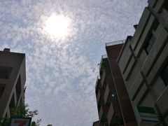 -鼎泰丰(南西店)