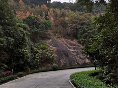 -广州市帽峰山景区