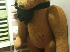 -济州岛泰迪熊博物馆