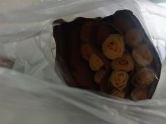 -溪岸路花鸟市场