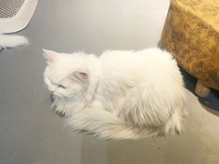 -小时光咖啡馆(开森度假森林店)