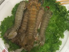-阿里郎海鲜酒店