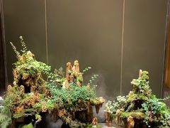 -梅间堂茶馆(绿地缤纷城店)