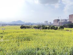-光明小镇欢乐田园