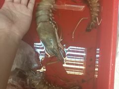 -ZF Seafood Restaurant 卓峰海鲜餐