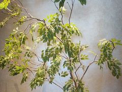 -百富源·海鲜辽菜(张士店)