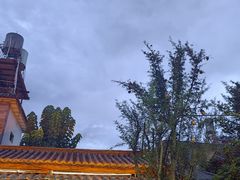 -尽善百年古院餐厅(王家老宅店)