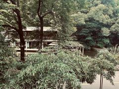 -天怡·鱼工厂(梅溪湖店)