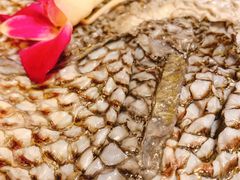 -大龙辣火锅·龙虾·烧烤(湖滨新天地店)