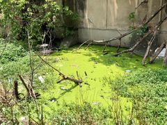 -全家便利店(中原二店)