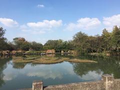 -西溪国家湿地公园