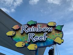 -新加坡水上探险乐园