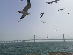 -星海广场