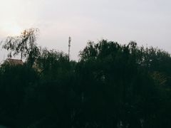 -凤凰中心