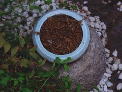 -边渡咖啡烘焙店(昙华林店)