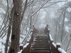 -塔云山