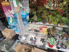-曲阳花鸟市场(曲阳路店)