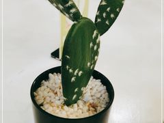 -夏羽记甜品(小榄大信店)