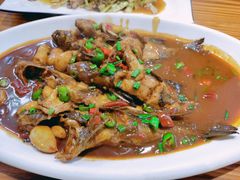 红烧昂刺鱼-宏利土菜馆(马山店)