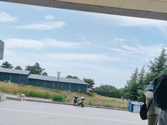 -秦始皇帝陵博物院-丽山园