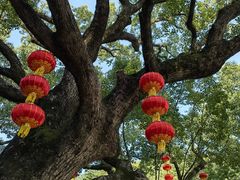 -宁波市保国寺古建筑博物馆