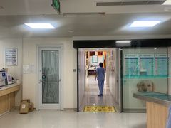 -谐和贝康宠物医院24小时·宠保定点(急重症转诊中心)