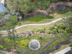 -金鸡山公园