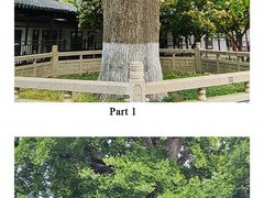 -常熟方塔园
