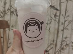 -楼上猫咖(罗湖店)