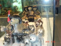 -济州岛泰迪熊博物馆