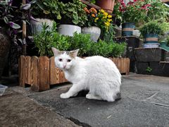 大堂-龙姐私房菜(和顺古镇店)