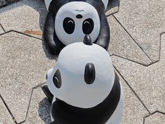 -星光大道