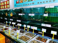 水产区-海岛渔村大酒店(云霄路店)