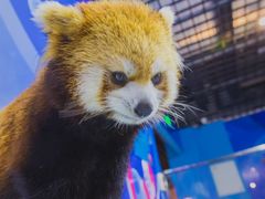-秦皇岛新澳海底世界
