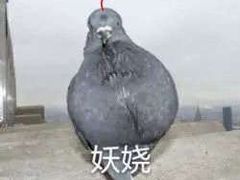 -渝是乎酸菜鱼(龙旗购物中心店)
