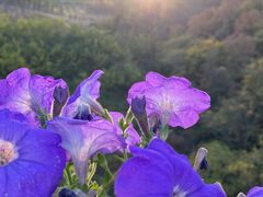 -南京市江宁方山