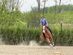 -北京群众马术培训基地