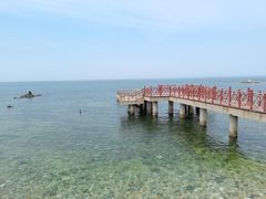 -养马岛旅游度假区
