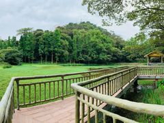 -鼎湖山风景区