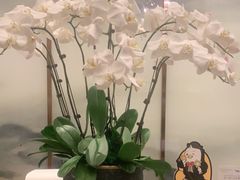 -领事馆19号中餐厅(厦门海景洲际酒店)